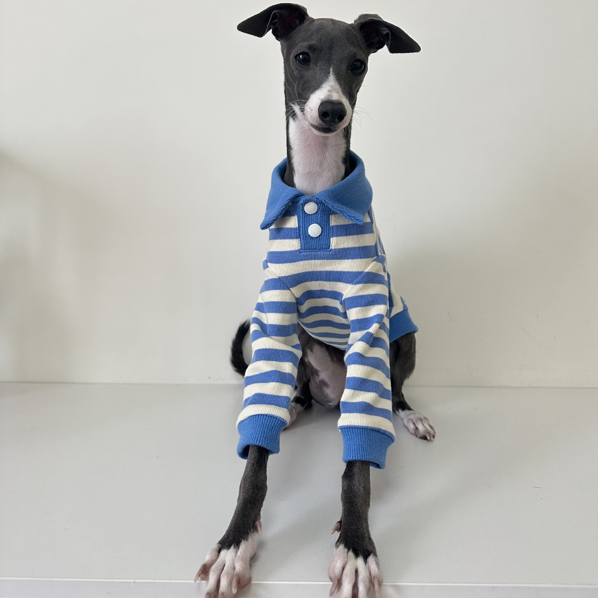 Camisa polo para animais de estimação tecido de algodão puro estiramento galgo italiano Whippet Bedlington Terrier roupas para cães: S