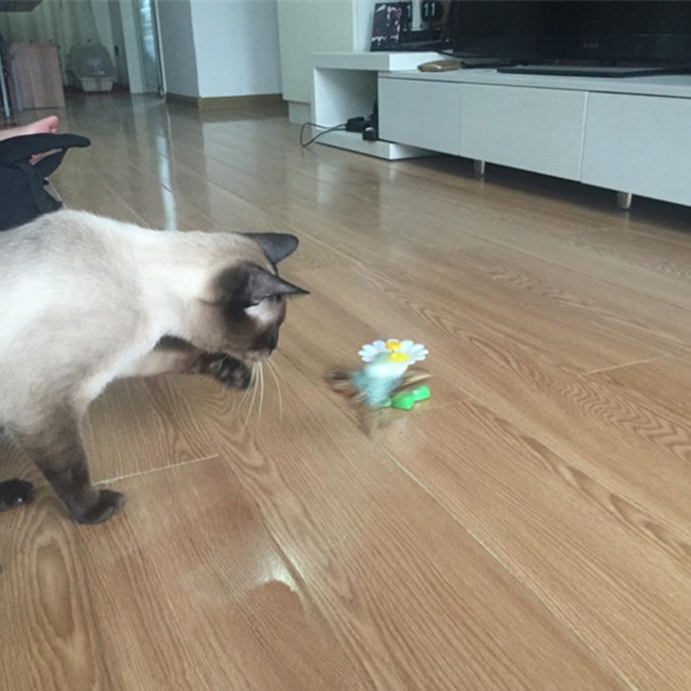 Jouet de chat électrique rotatif oiseau volant drôle papillon jouet interactif exercice chaton jouet pour chats de compagnie