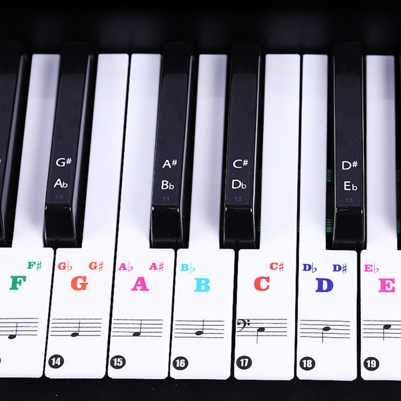 88/61 Key Color Piano Letter Notes Stickers Keyboard Hand Roll Piano Keyboard Transparent Stickers Notation Transparent