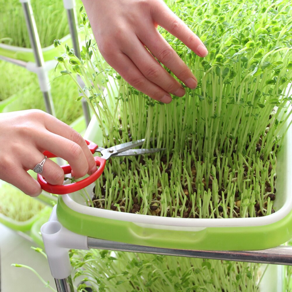 4 Set Zaad Kiemen Bassins Grondloze Sprouter Trays Water Planten Containers Nursery Site Voor Tarwegras Soja Groene (Willekeurige