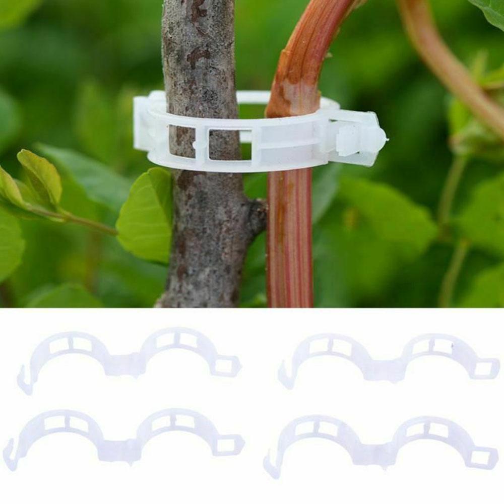 50 Stuks Plastic Wijnstok Clip Plant Clips Tomaat Opknoping Trellis Wijnstok Verbindt Planten Bescherming Voor Kousenband Planten Landbouw Gereedschap