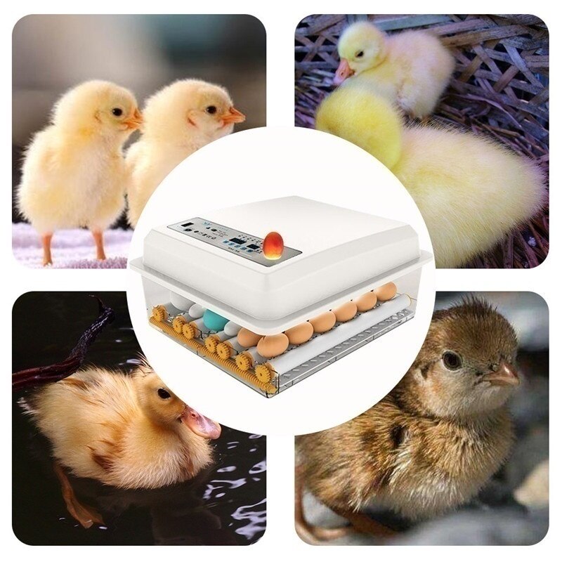 Eggs Incubator Brooder Bird Quail Chick Goose Egg Hatchery Incubator Poultry Hatcher Automatic Farm Incubation Tools With Roller