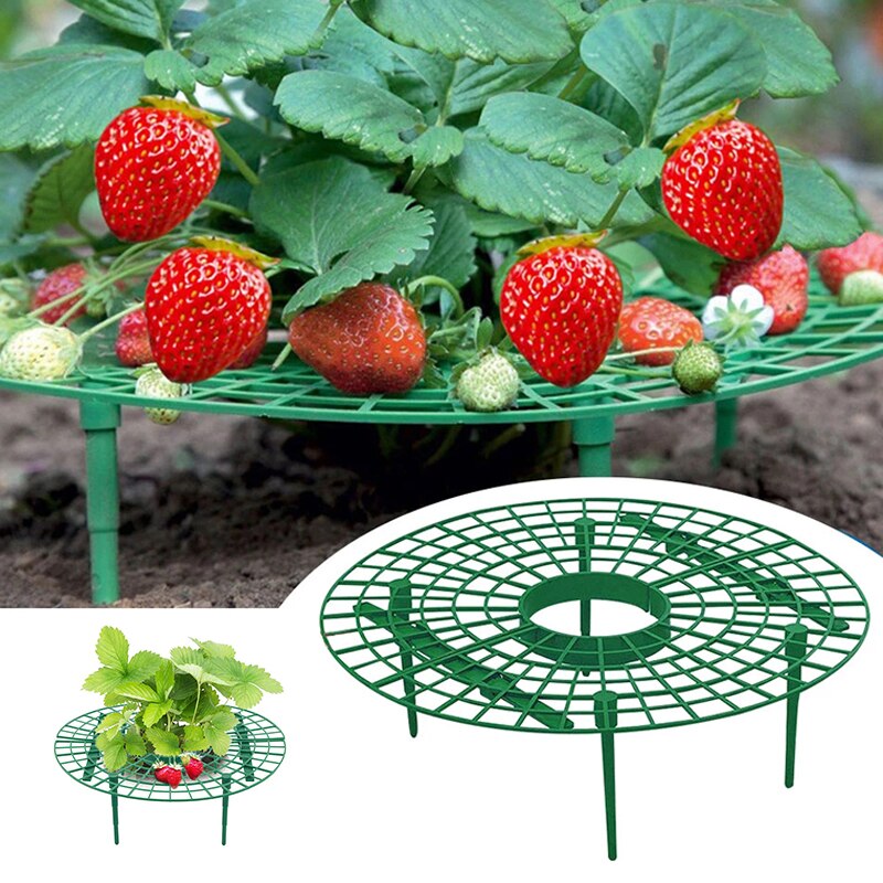 Aardbei Stand Groente Fruit Plank Plant Bloem Klimmen Wijnstok Pijler Tuin Ondersteuning Plank Familie Balkon Tuinieren Tool