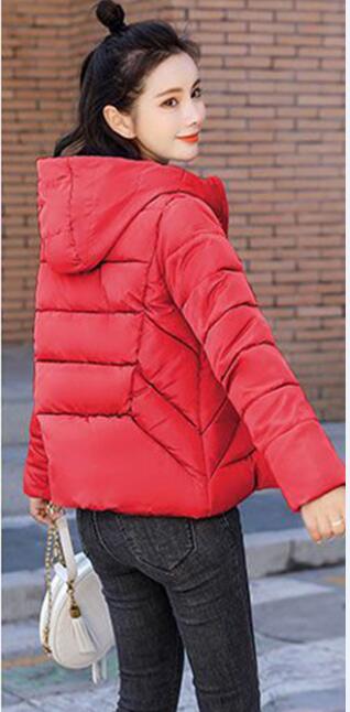 Goedkope klassieke dames winterjas, katoenen jas, zachte waterdichte dames winterjas van katoen met capuchon.: Rood / Ik