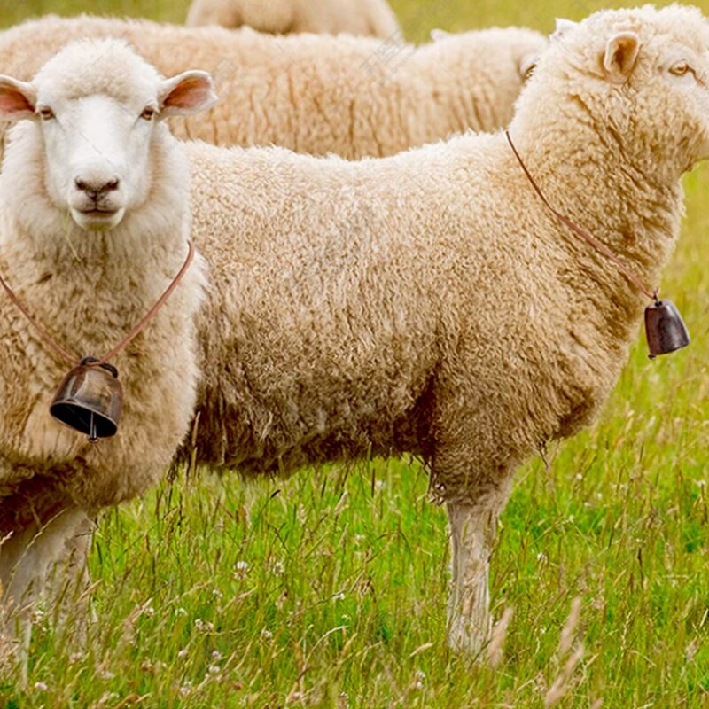 6 Stuks Metalen Koe Bel, Koebel Retro Bel Voor Paard Schapen Grazen Koper, Koe Bells Lawaai Makers