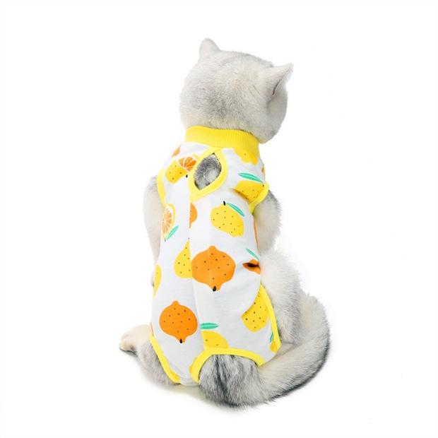 Summer Cat Spaying and neutering Clothes for Small Dogs Cat Clothes Weaning Anti-lick Vest Clothing for Cats Accessories Pet: Lemon / L