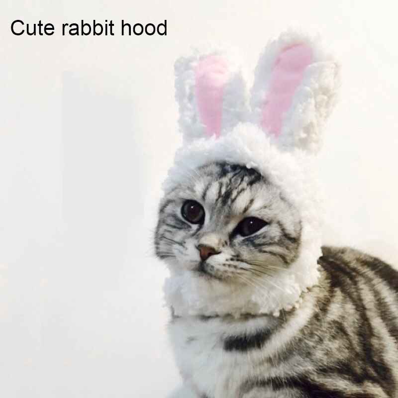 Accessori per gatti cappelli per gatti puntelli per prestazioni copricapo Cosplay Pet peluche coniglio orecchio copricapo orecchie da coniglio gatti cani copricapo per animali domestici