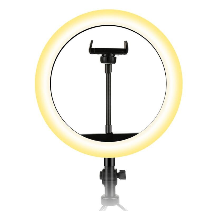 6/10 Inch Live Heart-Shaped Circular Arc Fill Light USB Multi-Specification Multi-Color LED Ring Light Universal Tripod: 10inch
