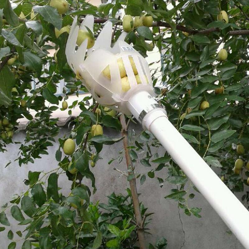 Yangmei-recolector de frutas de alta altitud, artefacto de Yangmei, recolector de frutas de mano, cesta de árboles, herramienta para cosechar suministros de jardinería