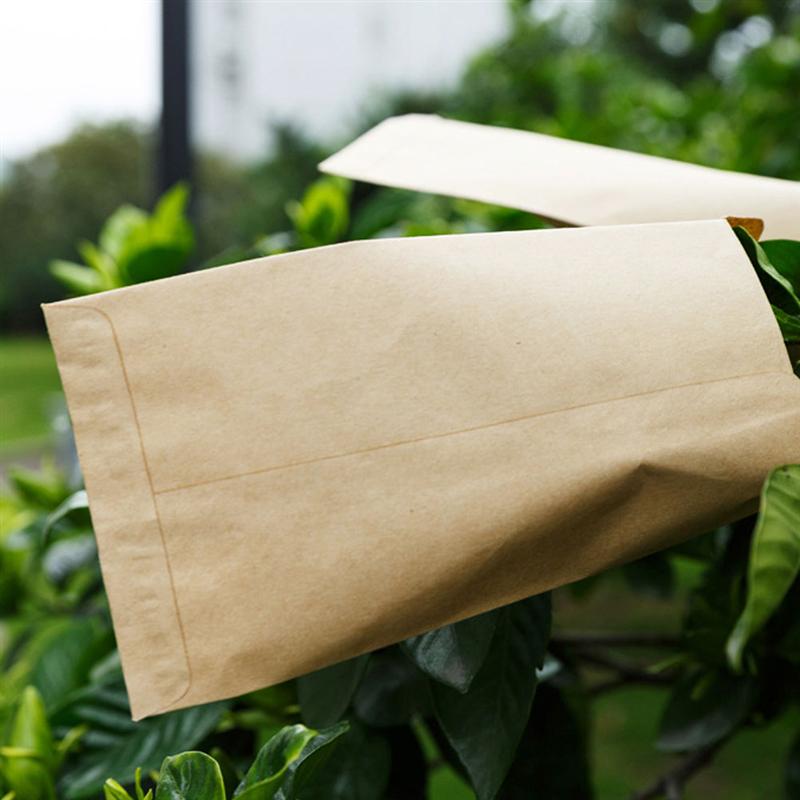 100pcs Kraft Paper Bag Seed Storage Bag Portable Seed Bag Packaging Pouch Garden Tool (6x10cm, Sewing, 100pcs/Pack)