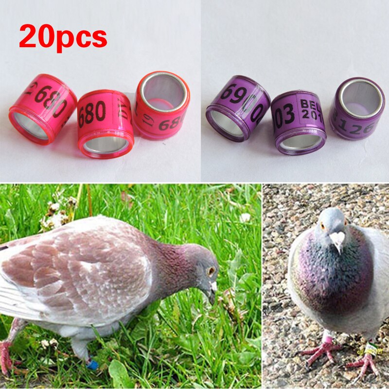 20PCS Bird Parrot Racing Pigeon Leg Foot Rings Digital Bird Foot Ring Supplies Accessories Durable Bird Training Tools