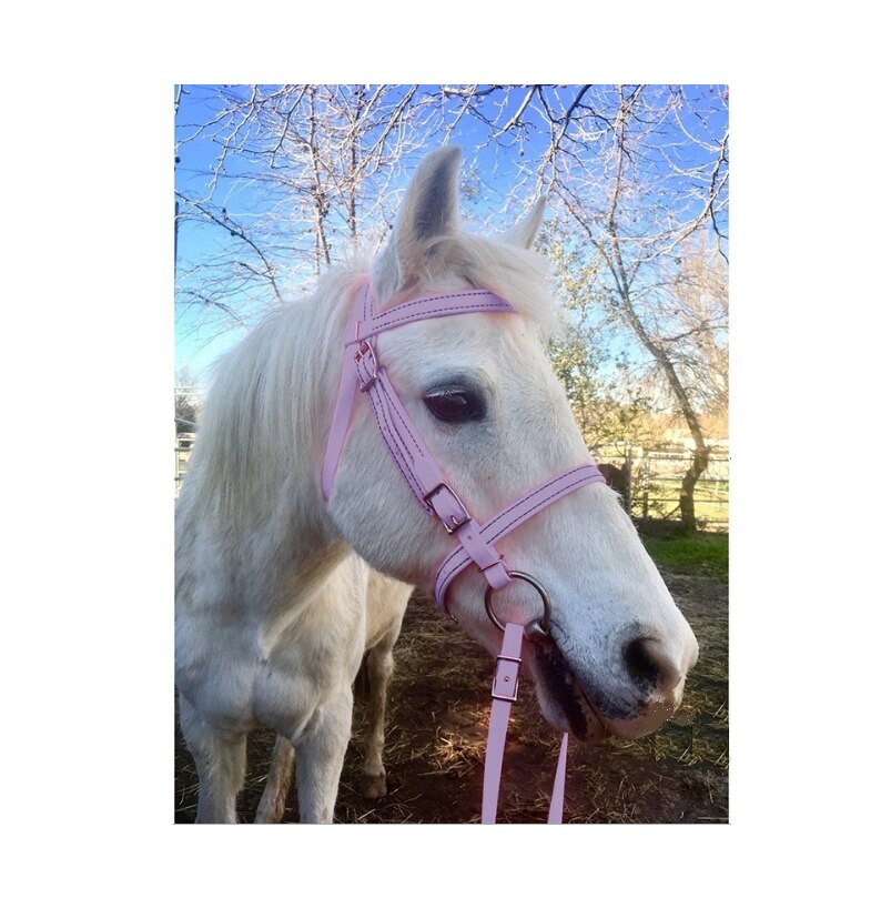 Amazing Head Collar adjustable and Comfortable For Horses: Pink