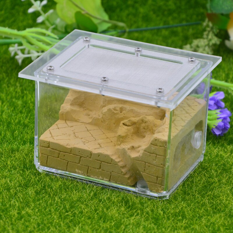 Concrete Ant Nest Acrylic Ant Farm Workshop Flat Nest Gypsum Landscaping Ant Nest 9x9x7cm: Color-D
