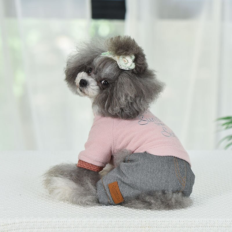 Varma hundkläder höst och vinter hunddräkter husdjur vinter fyrbenta kläder ropa para perro jumpsuits för hundar: Rosa / Xxl