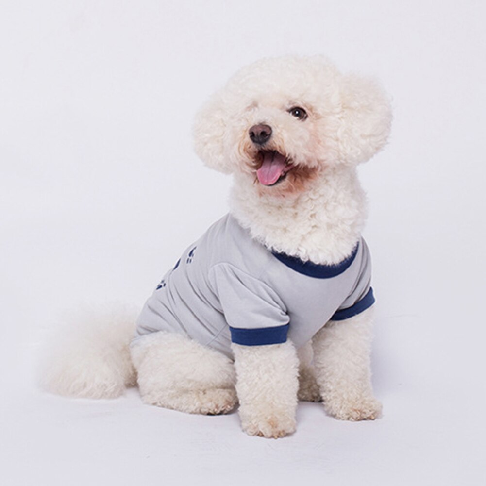 Sweet Pet Dog Clothes for Small Dogs Shih Tzu Yorkshire Hoodies Sweatshirt Soft Puppy Dog Cat Costume Clothing