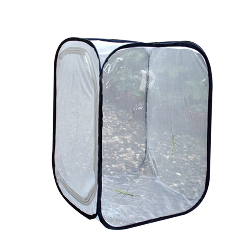 Praying Mantis Stick Insect Butterfly Cage Housing Enclosure stick insect Breeding chameleon Cages Net Cloth Butterfly Net: 60x60x90cm