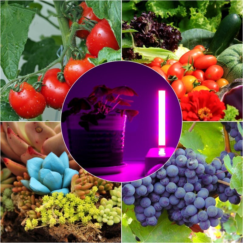 DC 5 V USB LED Plant Groeien Licht 3 W 5 W Volledige Spectrum Rood Blauw 360 Graden Flexibele Slang phyto Lamp Bloem Vegs Planten Groei Lamp