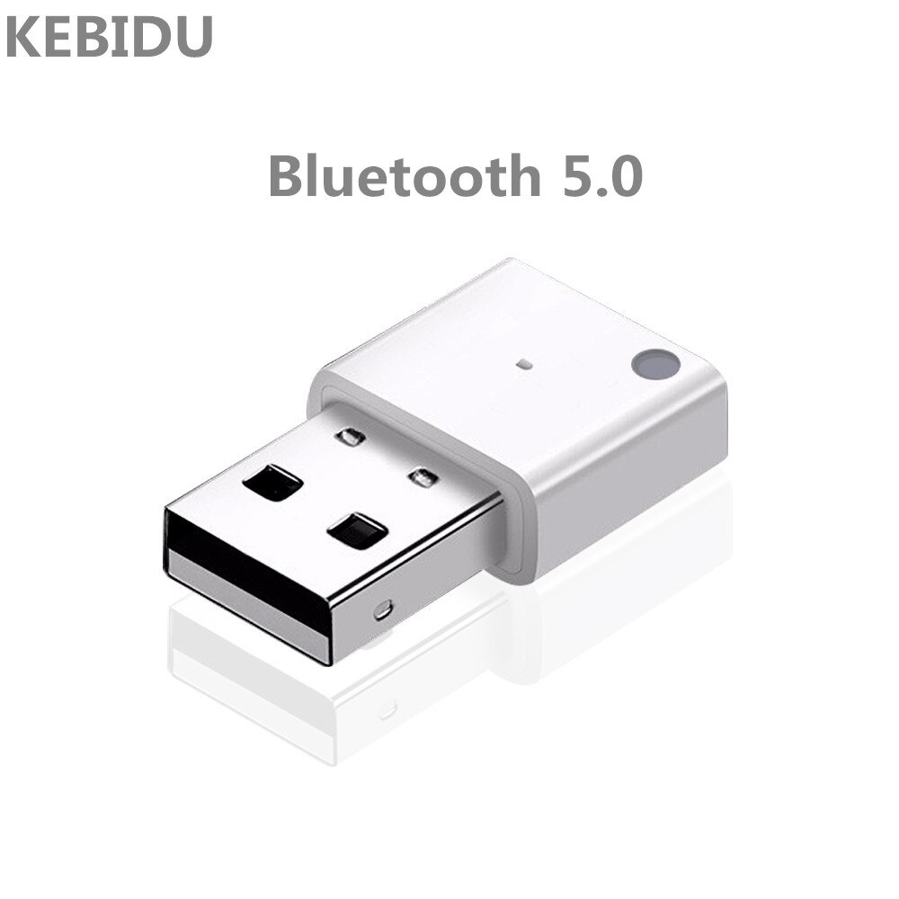 KEBIDU sans fil USB Bluetooth adaptateur 5.0 pour ordinateur Bluetooth Dongle pour TV PC voiture Kit sans fil adaptateur: WHITE