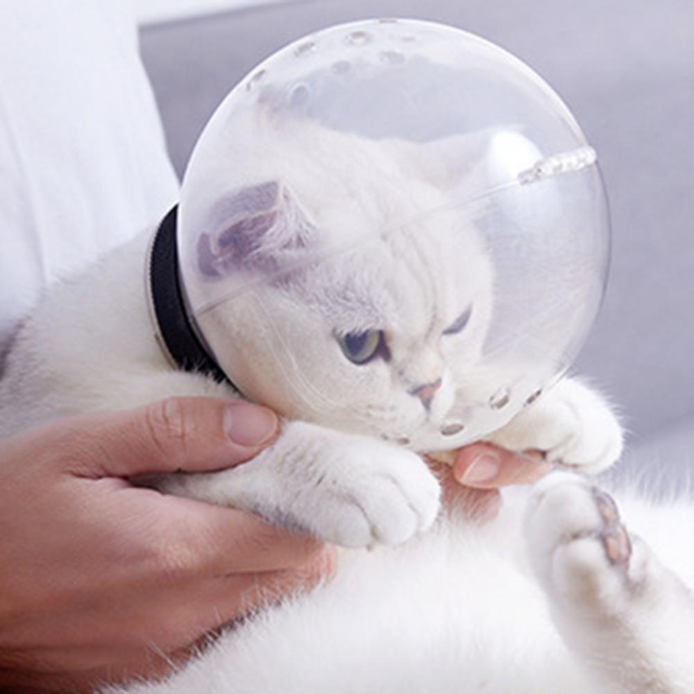 Cubierta protectora para la cabeza del gato, accesorio con forma de bola, antiarañazos, Anti lamer, orificios de ventilación, transpirable, suministros para mascotas