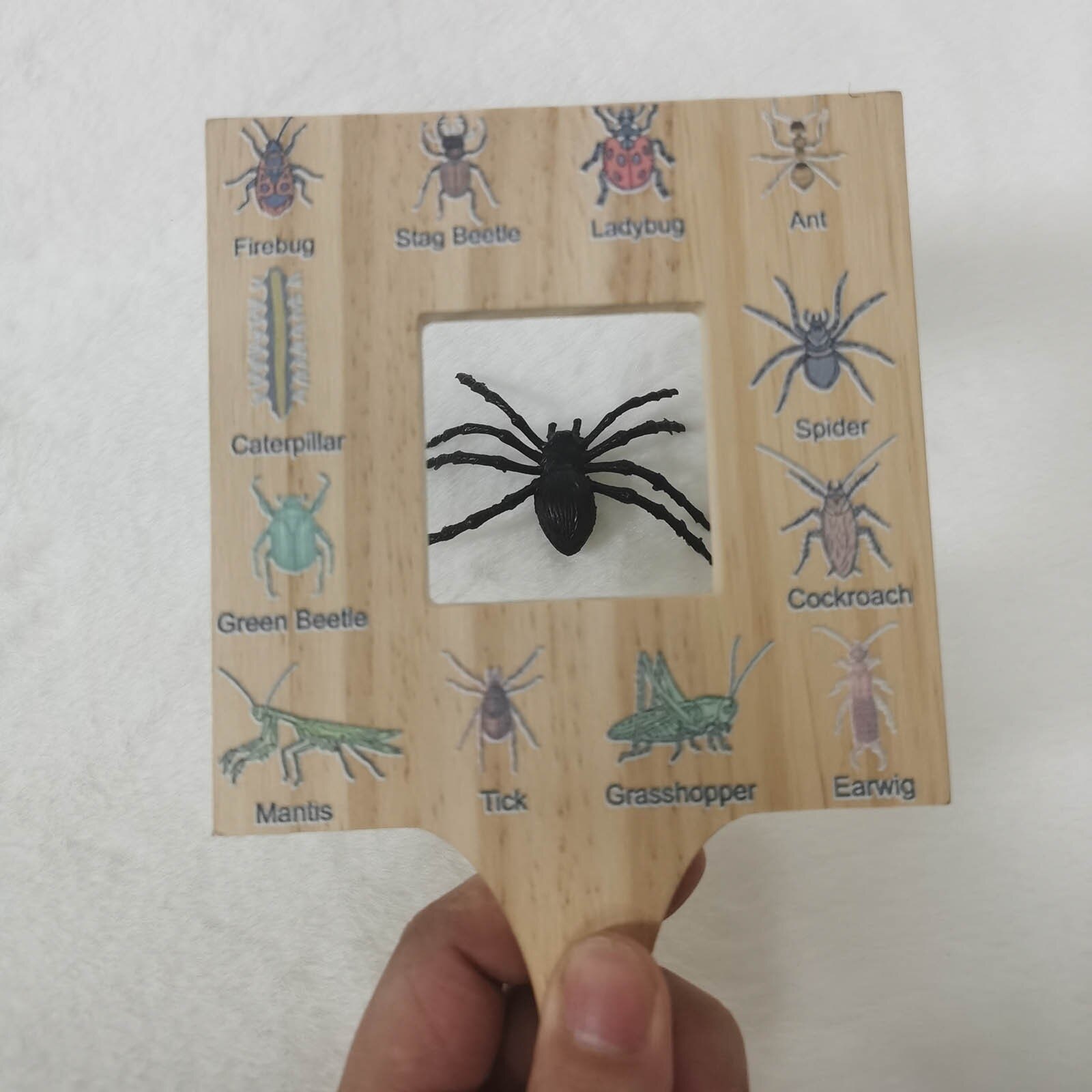 Nature Guide Finder Leaf Finder Cloud Viewer Identification Guide Homeschooling Nature Identification Materials Frame