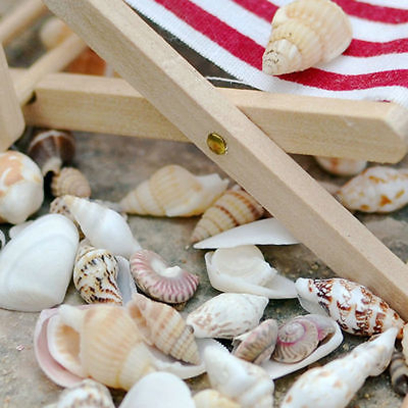 1 bolsa de conchas de mar surtidas mezcladas, pequeñas conchas de mar reales, bricolaje, decoración del hogar, artesanía náutica