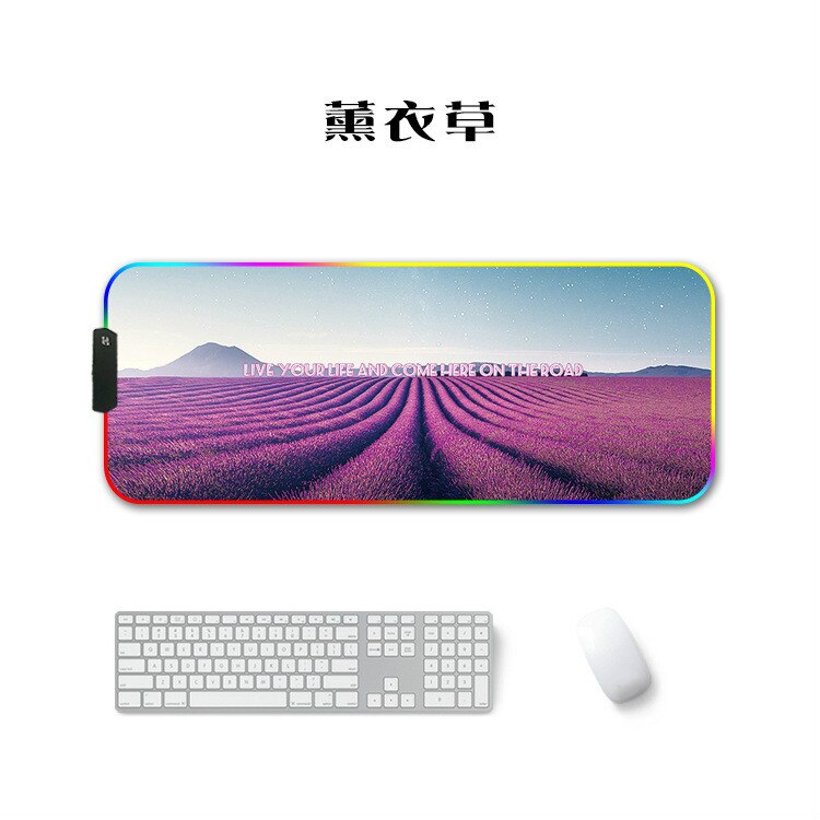 Rvb grand tapis de souris tapis de souris de jeu Gamer Led ordinateur tapis de souris grand tapis de souris avec rétro-éclairage tapis pour clavier tapis de bureau souris: 300x800x3mm4