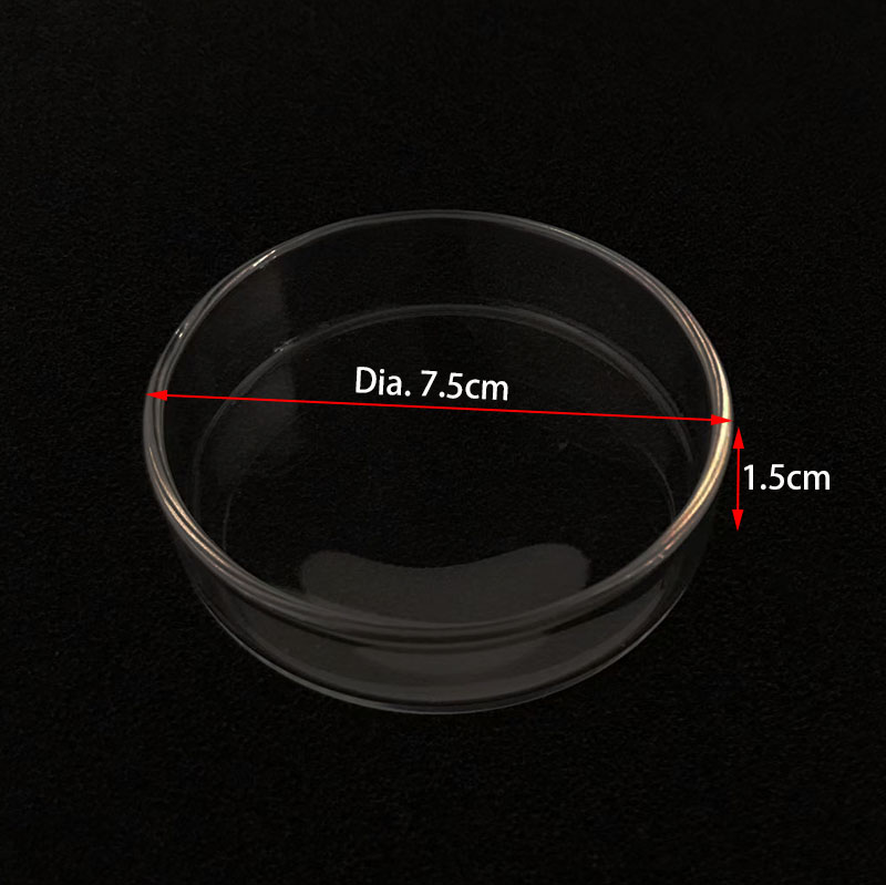 Transparent Aquarium Fish Tank Shrimp Food Feeding Circle Glass Feeder Floating Bottom Feeder Fish Shrimp Aquarium Accessories: green