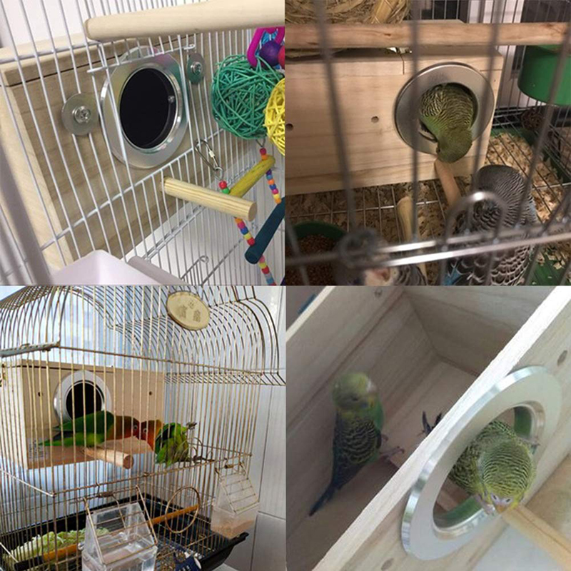 Cage en bois pour perruches, perruches pour animaux de compagnie, perruches, Cockatiel, nidification, oiseau, volière