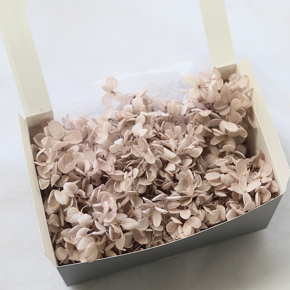 20g naturlige frisk hortensia tørket blomsterhode gjør-det-selv ekte evigblomstmateriale langtidskonservering falmer ikke: 12
