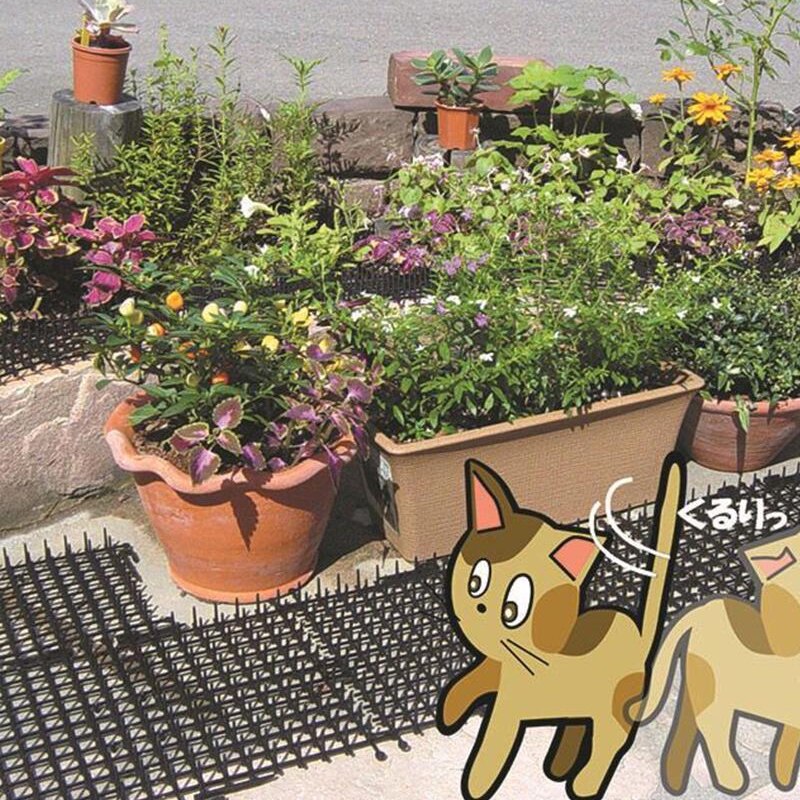 Rete anti-gatto da giardino in plastica prevenire la stuoia della spina del gatto rete protettiva multifunzionale della rete di protezione delle piante dell'orto