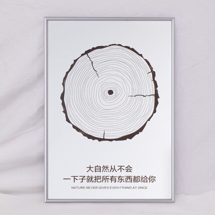 Aluminum alloy Photo Frame 16 inch Narrow side poster outer Frame A4 Picture Frame wall hanging A3 quadros decorativo: Matt silver / 30.5x40.5cm 16inch