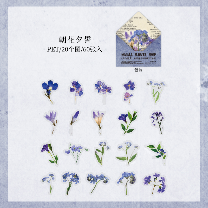 Retro Dried flower specimen PET Deco Stickers Plant Flower Leaf Transparent Bullet Journaling Accessories Aesthetic Stickers: 1