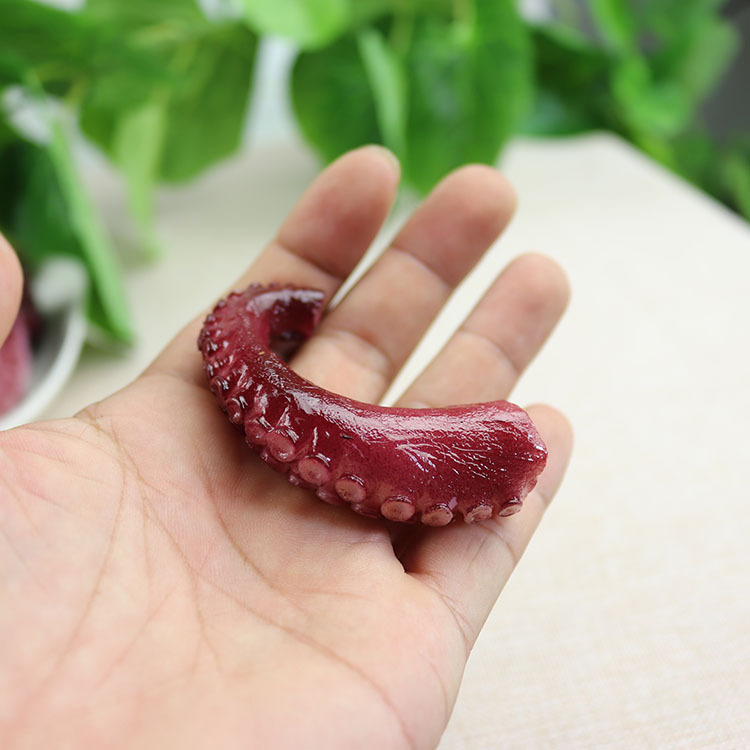 Pié de calamar Artificial, simulación de pulpo, para comida y verduras, modelo de Material de olla , producto acuático de simulación de mariscos, barbacoa