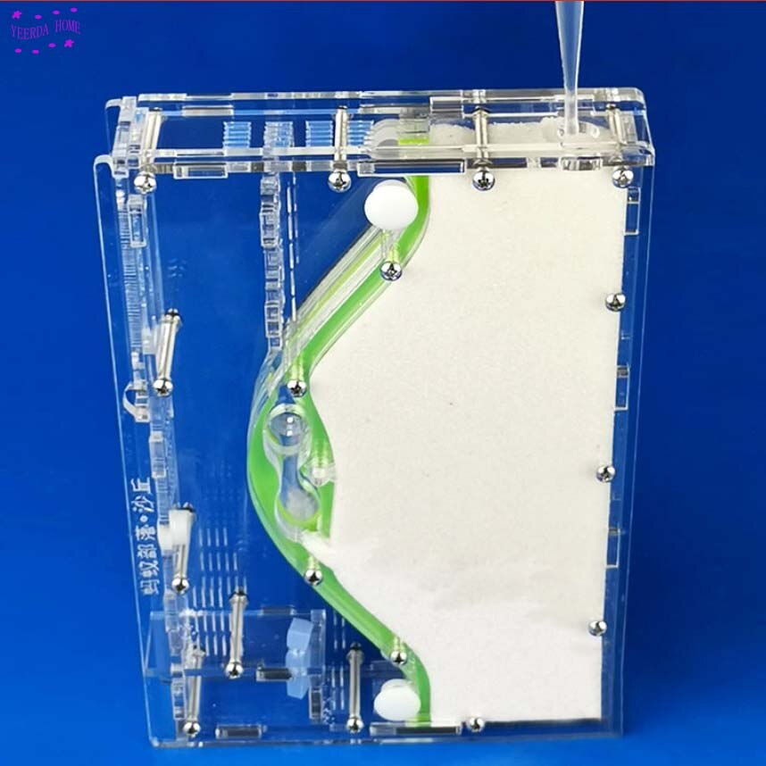 19.6*13.3*2.9cm DIY moisture with feeding area ant nest ,ant farm acryl, insect ant nests villa pet mania for house ants