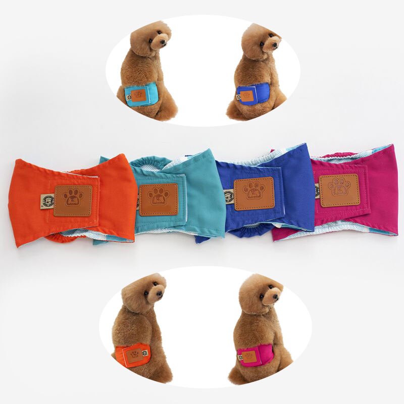 4 färg bra stor hundblöja sanitära fysiologiska byxor s-xl tvättbara shorts trosor mens underkläder trosor husdjur