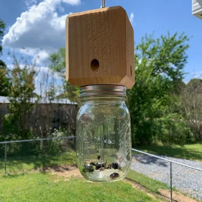 Piège à abeilles de charpentier pour l'extérieur, 1 pièce, piège à abeilles de charpentier suspendu naturel de Style Pentroof, pièges à insectes avec coffre-fort amovible