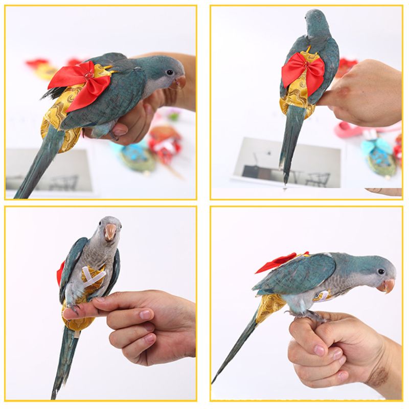 Fuglebleer papegøje flyvende dragt kinesisk traditionel kostume stil til parakit håndlavet tøj