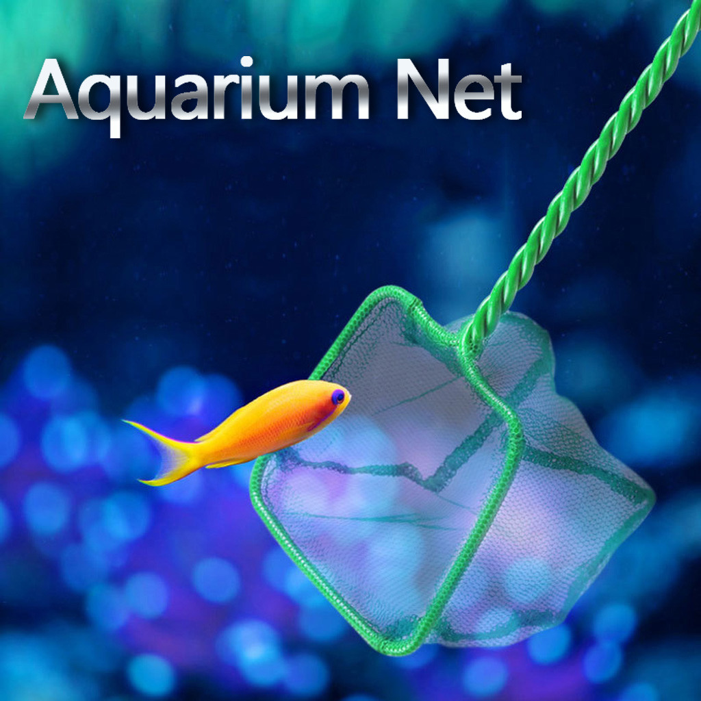 Aquarium Net Fish Tank Net Fine Mesh Fish Catch Net with Plastic Handle - Green Square Folding Fishing Network Baits Cast Mesh