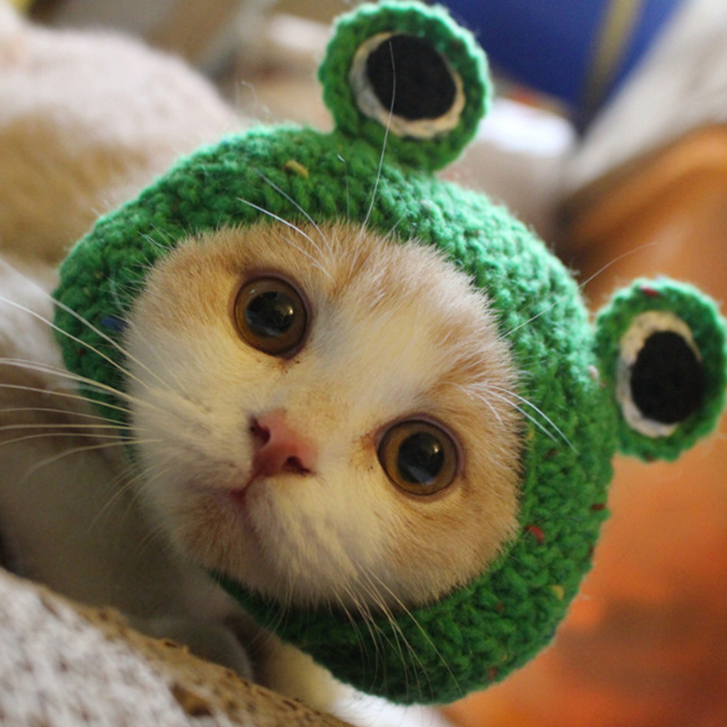 Hand-Knitted Pet Hats Frog Cat Hat Dog Hat Hair Band Dog Cap Green Cute Dog For Small Dogs Essential Household Pet Necessarily