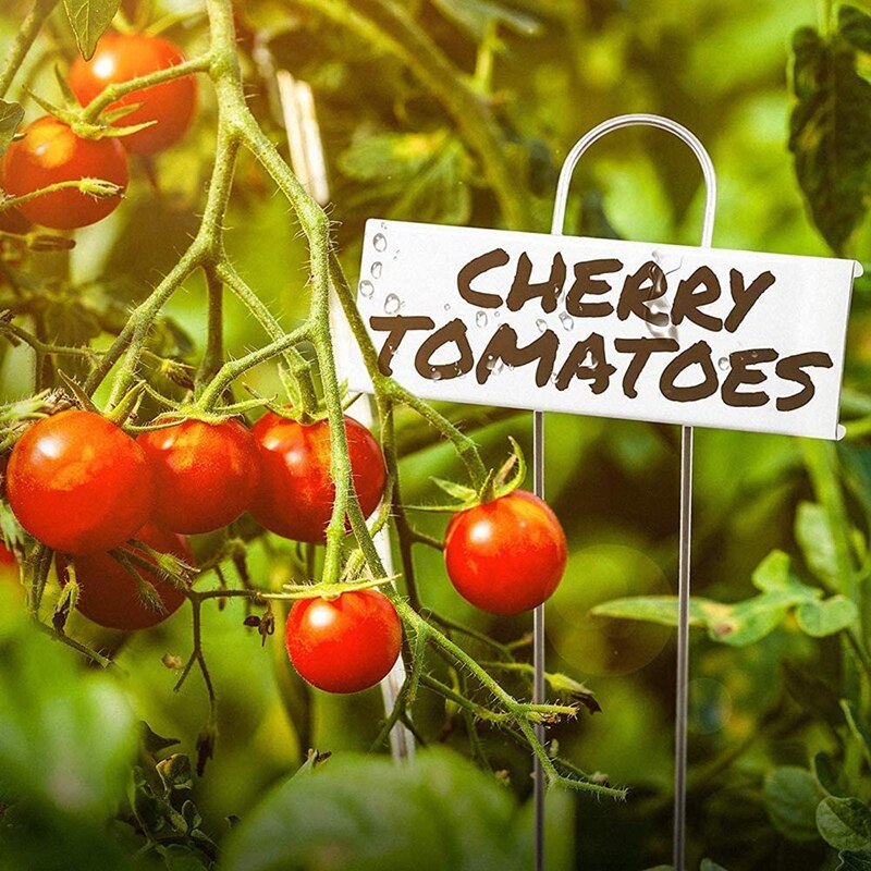 24Pcs Stainless Steel Sign Marking Plant Label Horticulture Garden Plant Classification Sorting Mark Silver