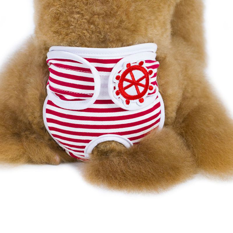 Schattige honden fysiologische broek panty in het seizoen sanitaire broek voor vrouwtjes mooi ondergoed voor jongen hond kat: Rood / S