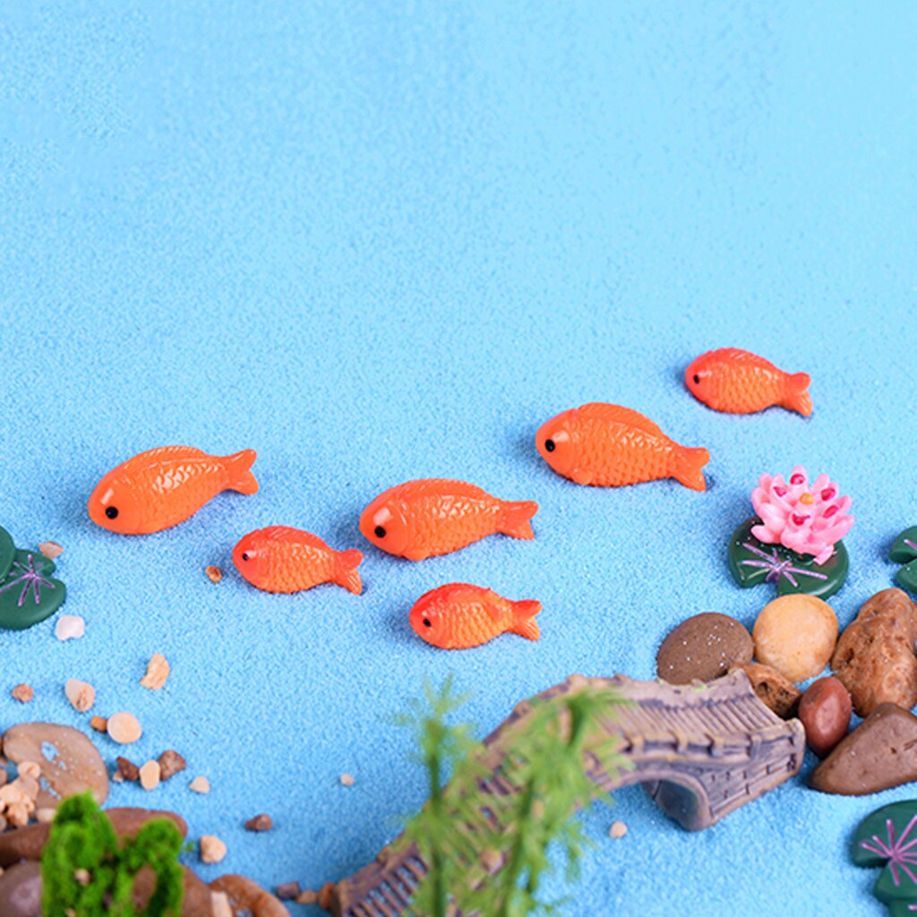5 stykker mikro landskabsdekorationsfisk