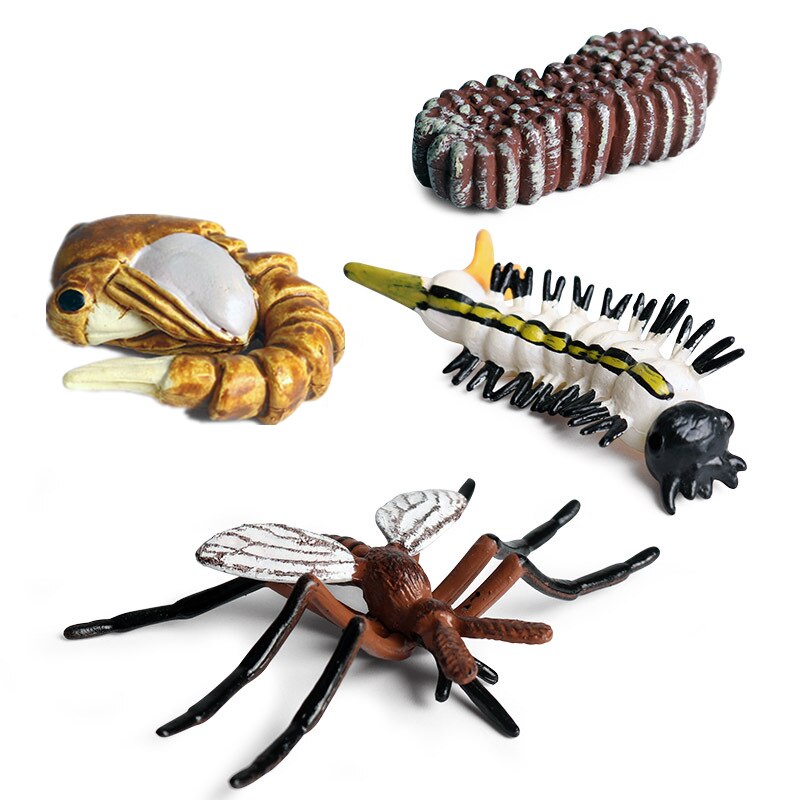 10 Sets Animal Life Growth Cycle Simulation Model Bee Ladybird Spider Bettle Butterfly Biology Nature Learning Toys: Burgundy