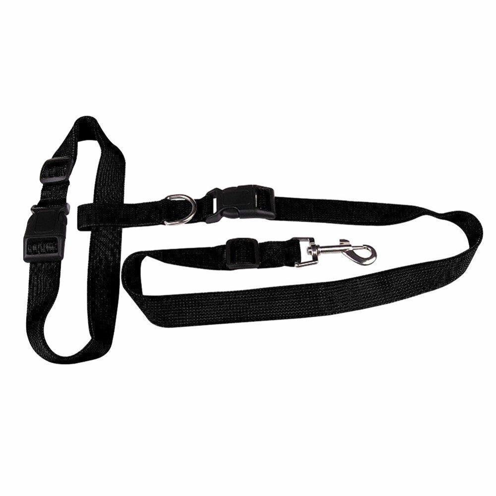 1Pc Verstelbare Nylon Pet Led Halsband Harnas Voor Kleine Accessoires Running Leash Sport Wandelen Jogging Puppy Product Hond i5C9: black