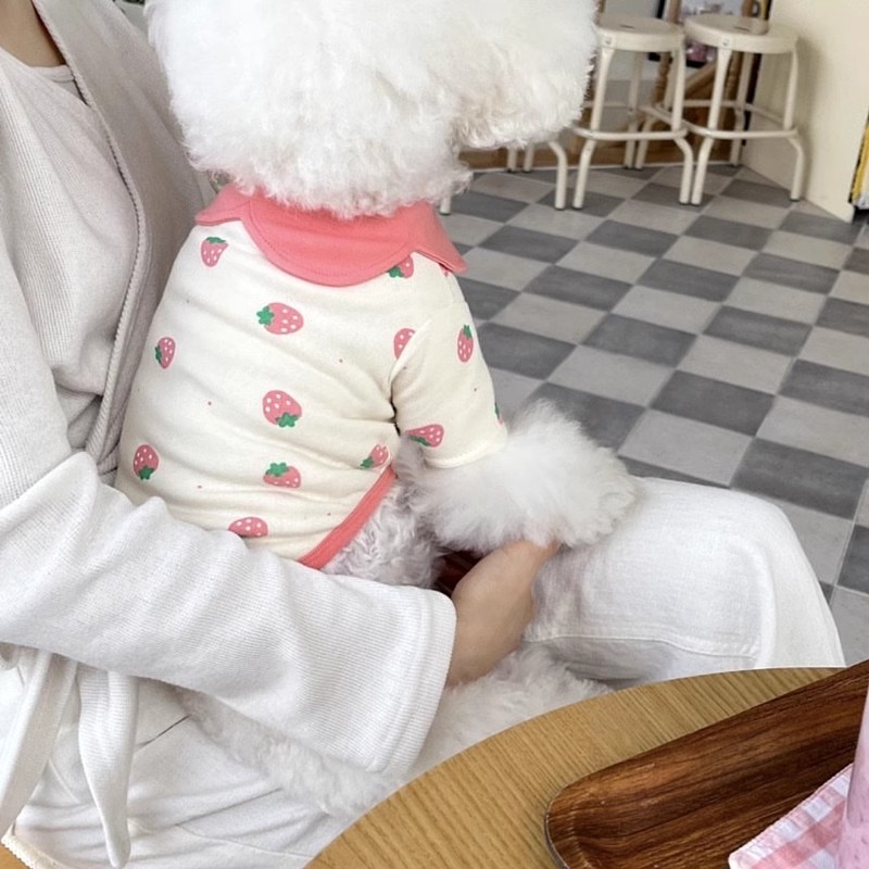 Vêtements pour chiens imprimés fraises, gilet rose pour animaux de compagnie, Costume pour chiot, Polo pour chien et chat, Chihuahua Bichon, T-Shirt mignon pour filles, pull pour chien