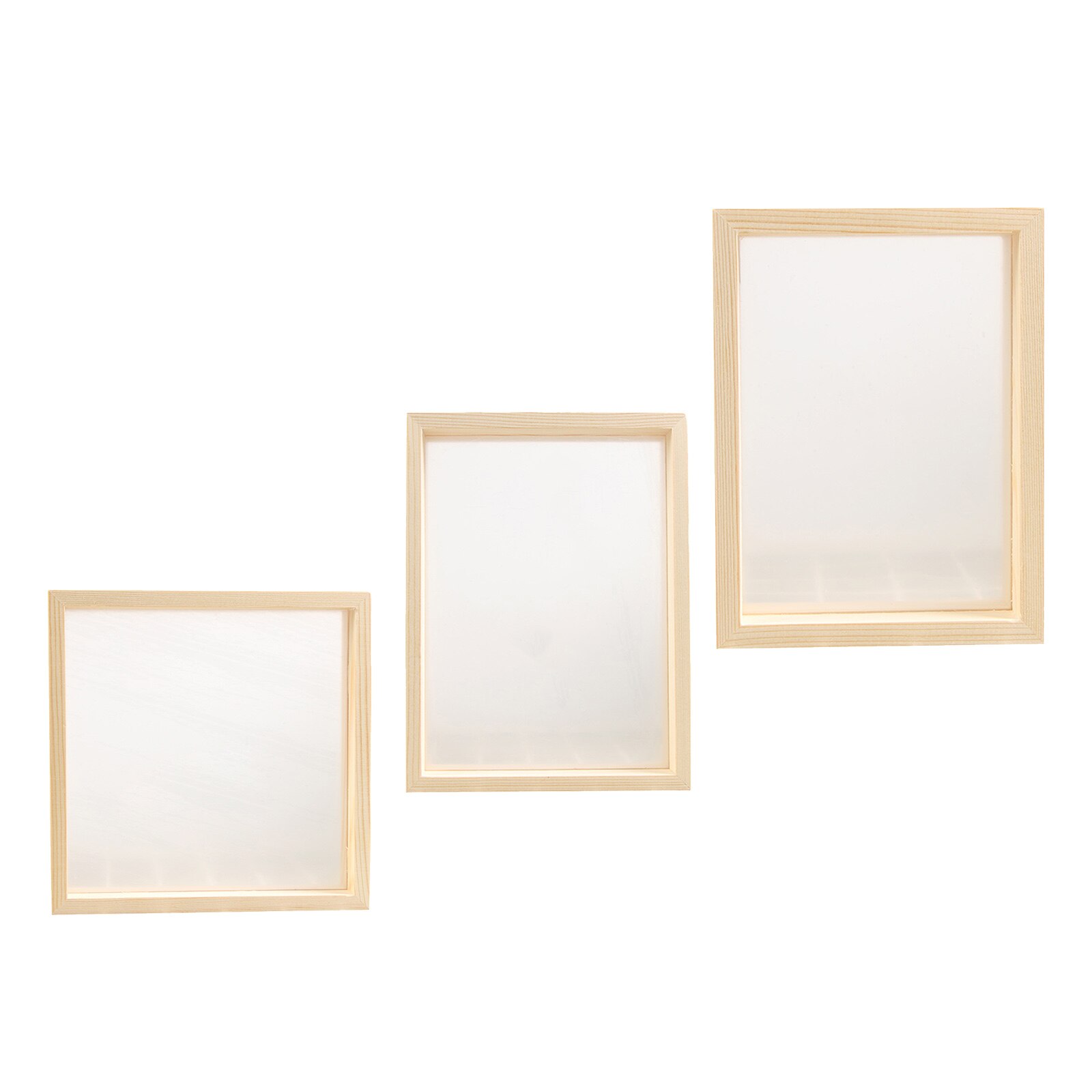 Plant Specimen Photo Frame Support Family Picture Holder Decor Artwork
