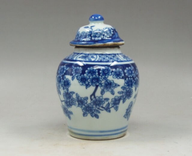Chinese oude Handgemaakte schilderij bloemen blauw en wit porselein theebus pot 5