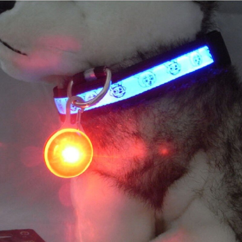 Huisdierhalsband, mooie kat en hond, nachtlampje met led-lampjes, gloeiend plastic label, nachtveiligheidshanger, kleine hondenaccessoires, dierenbenodigdheden