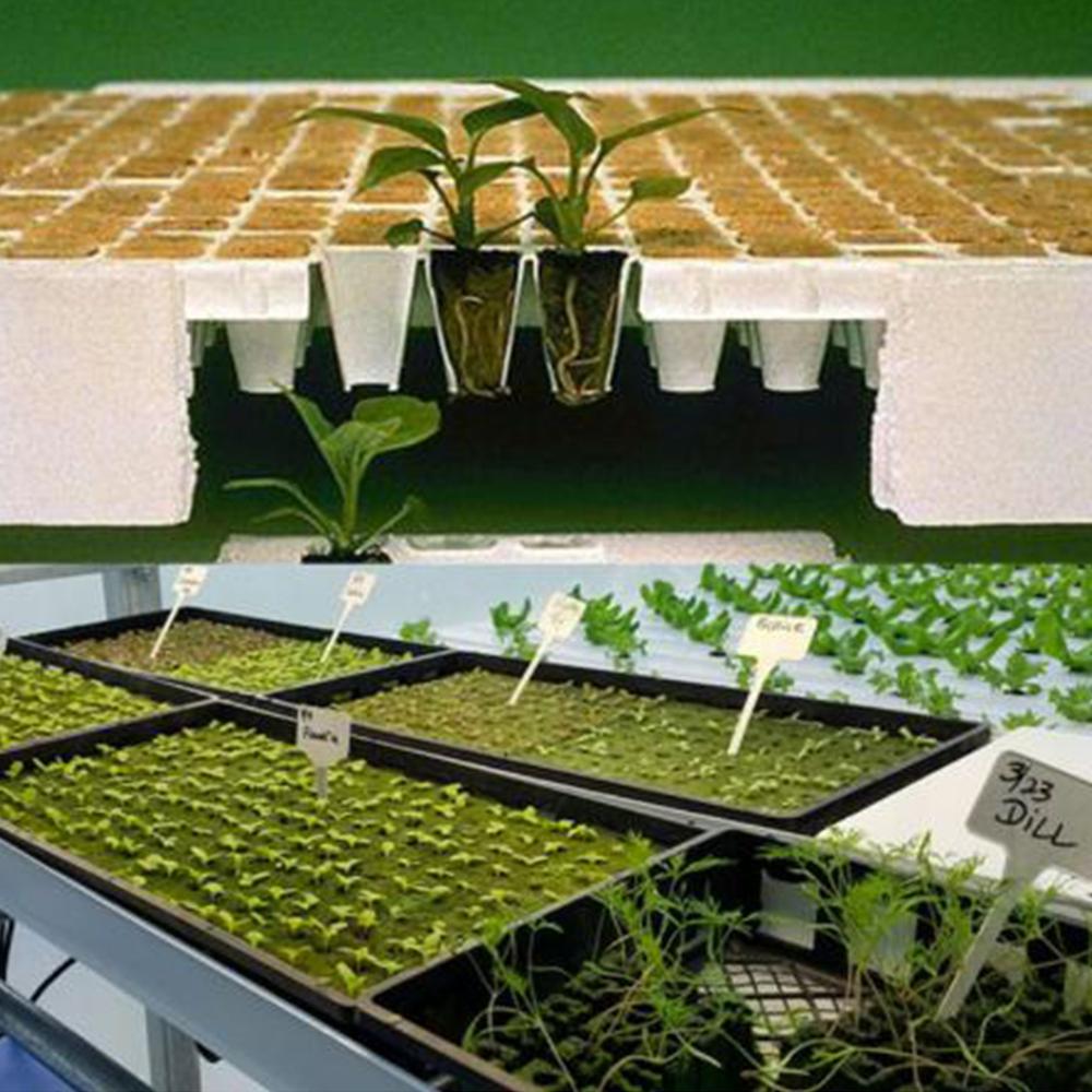Steenwol Plant Starter Kubus Hydrocultuur Groeien Grondloze Teelt Planten Basis