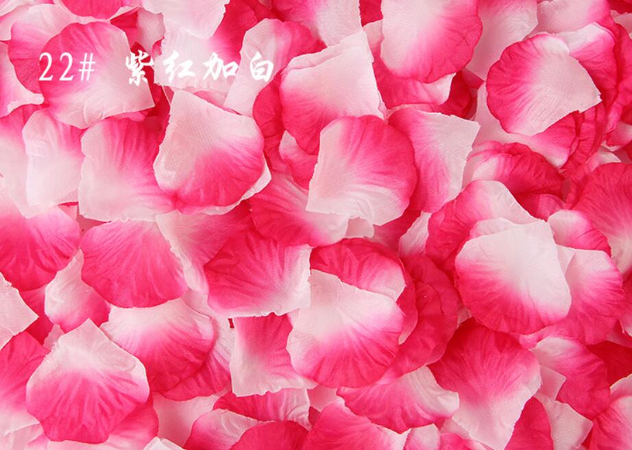 100 stk 5*5cm silke rosenblade til bryllup dekoration romantisk kunstig rose blomster bryllup tilbehør: N22- rose røde hvide